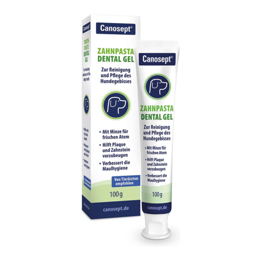 Canosept Dental Care Toothpaste (100g)