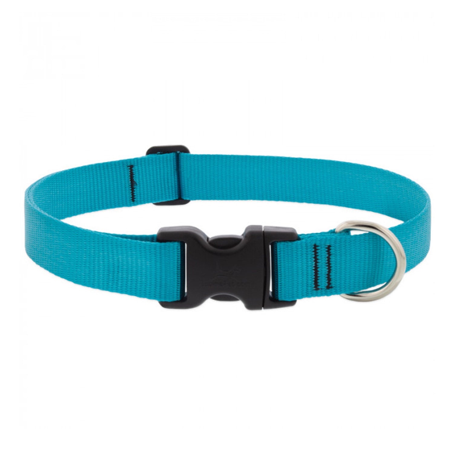 BASICS Adjustable Collar AQUA 1Inch FOR LARGE DOGS