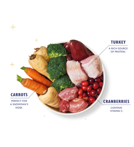 Lily's Kitchen Christmas Three Bird Feast Wet Dog Food - 400G