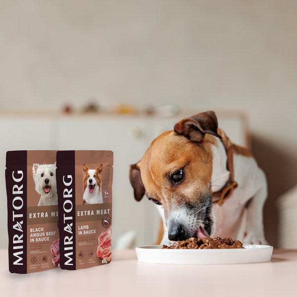 Miratorg EXTRA MEAT with Lamb in Sauce for Adult Dog Wet Food - 85G