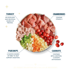 Lily’s Kitchen Christmas 2025 Turkey & Ham Wet Dog Food 400G