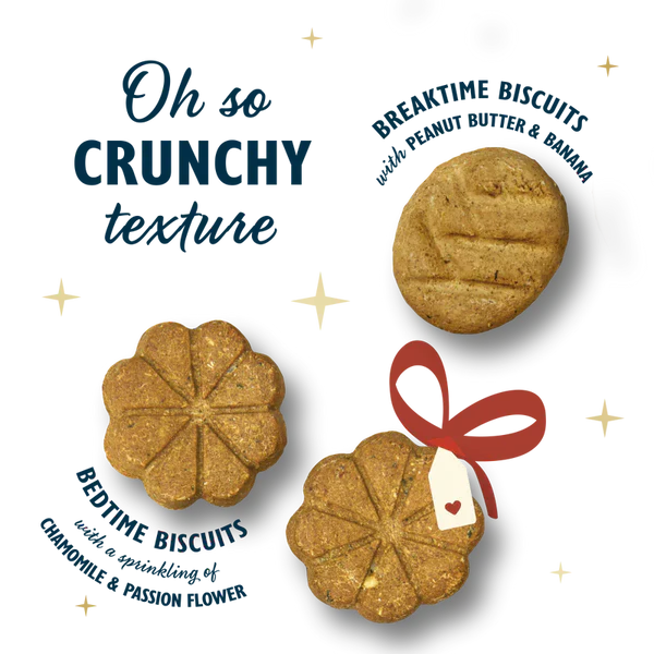Lily’s Kitchen Christmas 2025 Advent Calendar For Dogs 68G