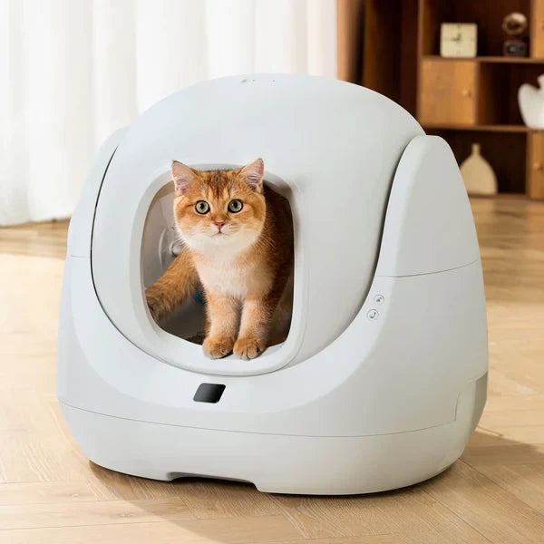 Catlink SE Lite AI Self Cleaning With Odour Removal Cat Litter Box 64x56x60cm - Grey