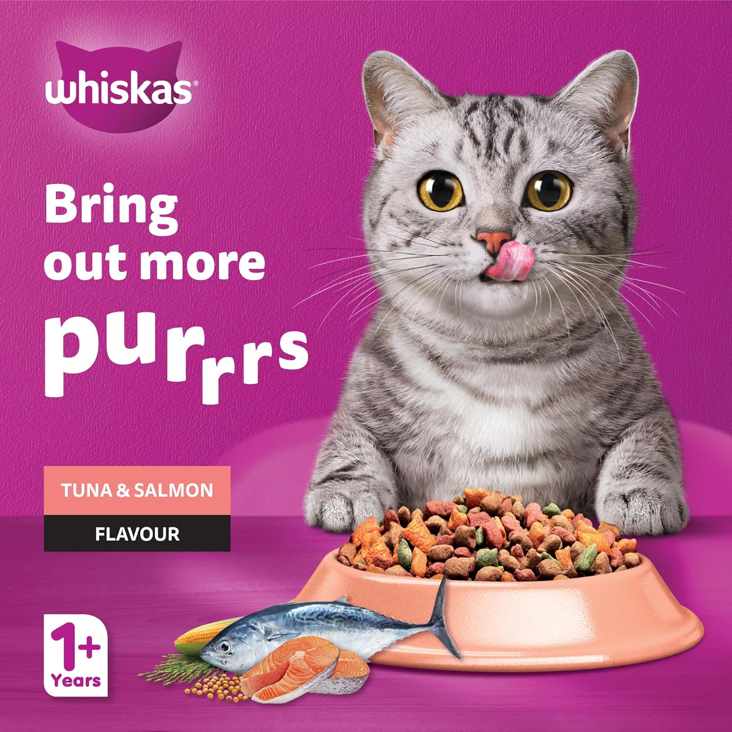 Whiskas Adult Tuna & Salmon Dry Cat Food
