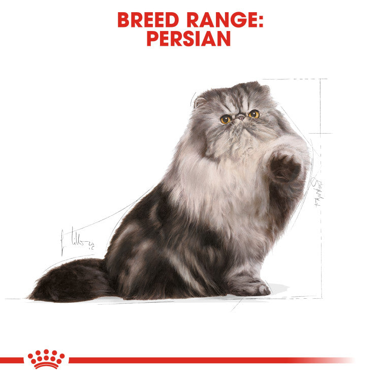 Feline Breed Nutrition Persian Adult 10 kg