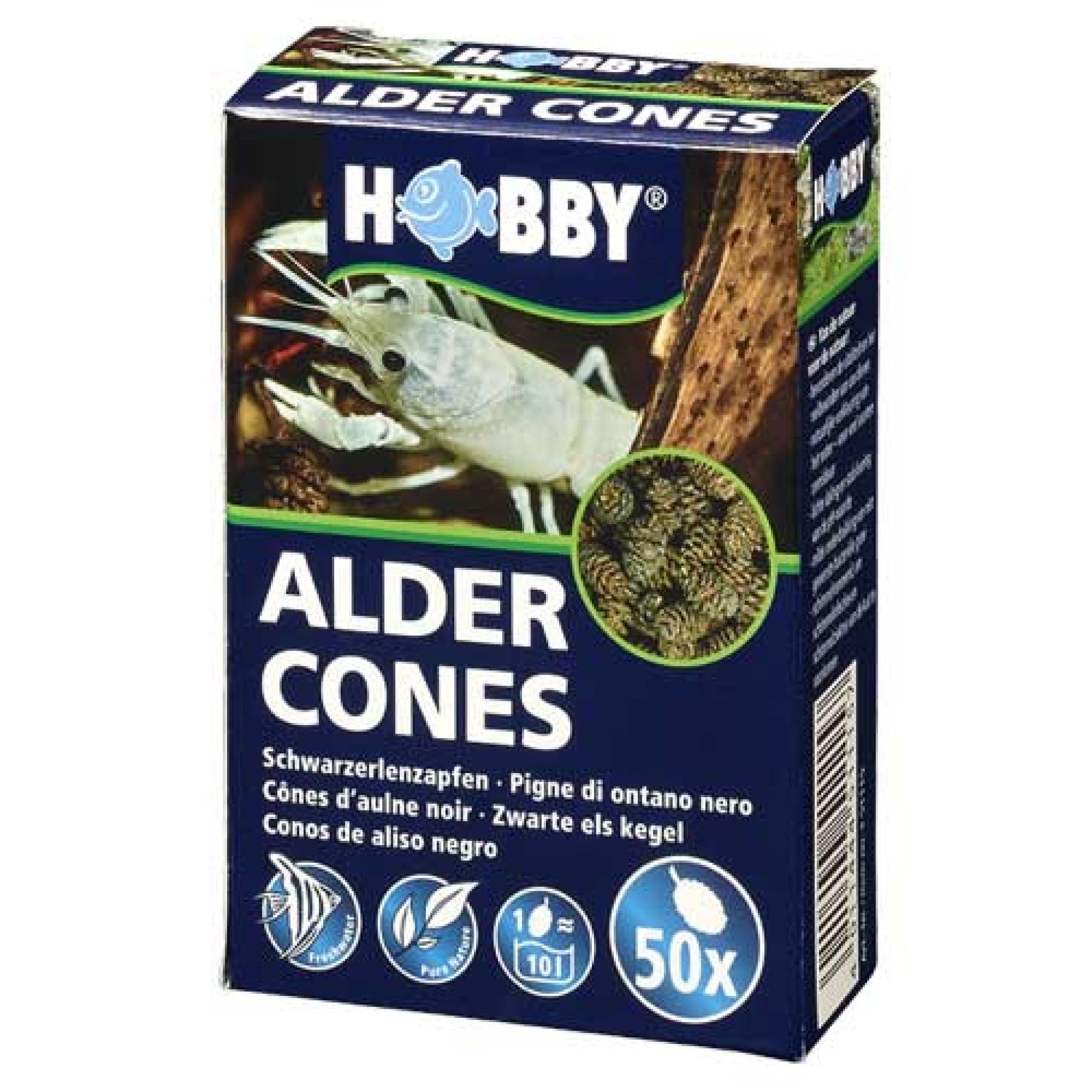 Alder Cones 50 pcs