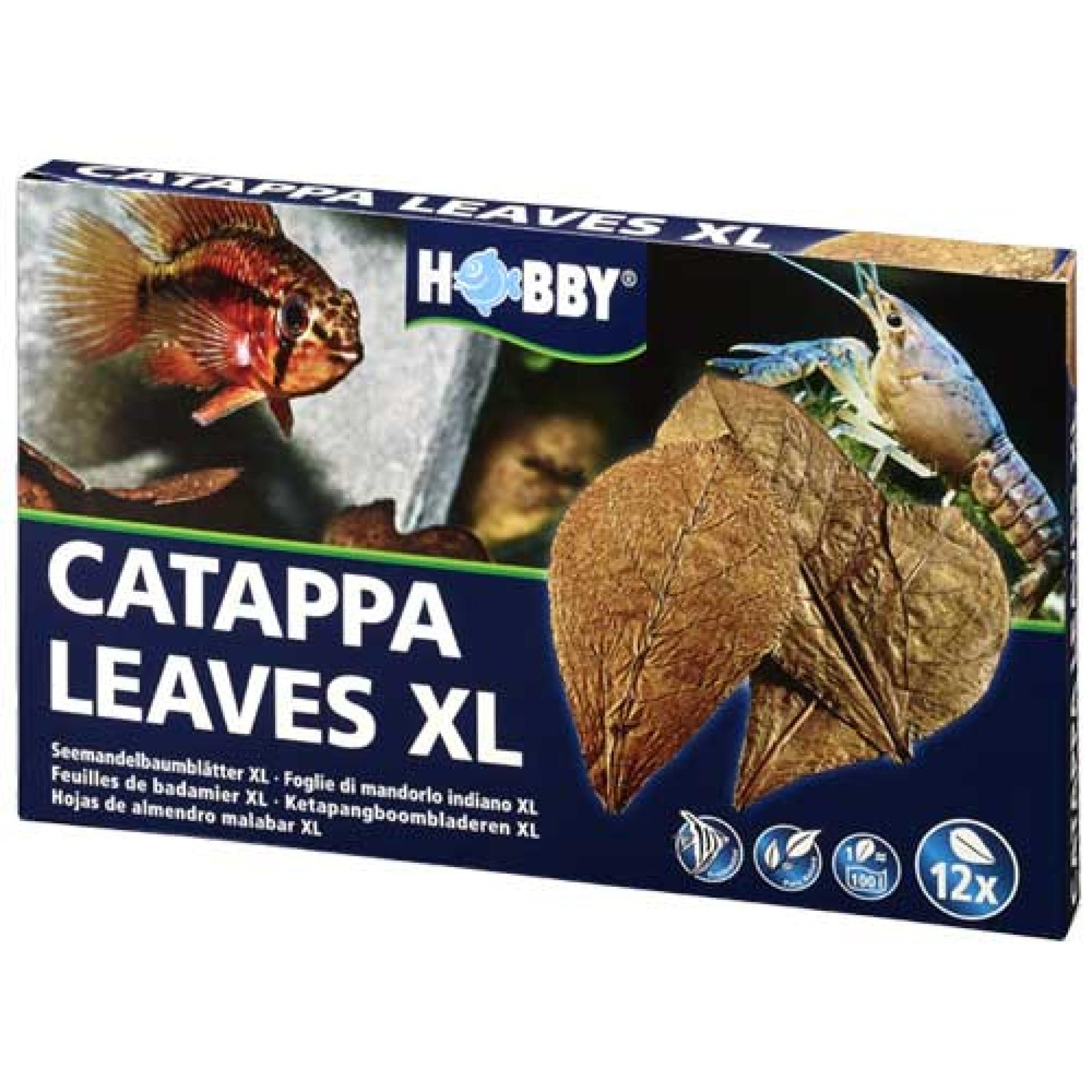 Catappa Leaves Xlarge, 12 pcs