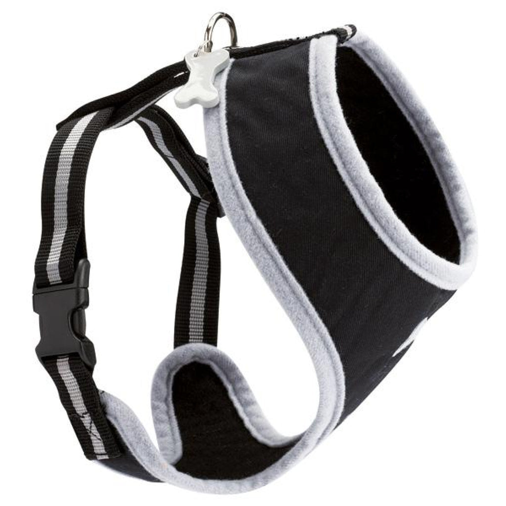 Arlequin Fancy Harness