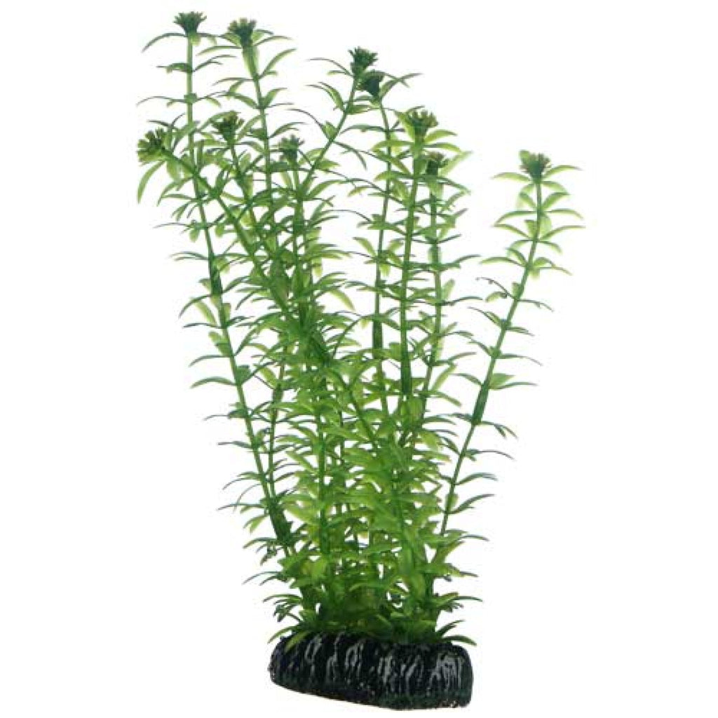 Artificial Plant - Lagarosiphon