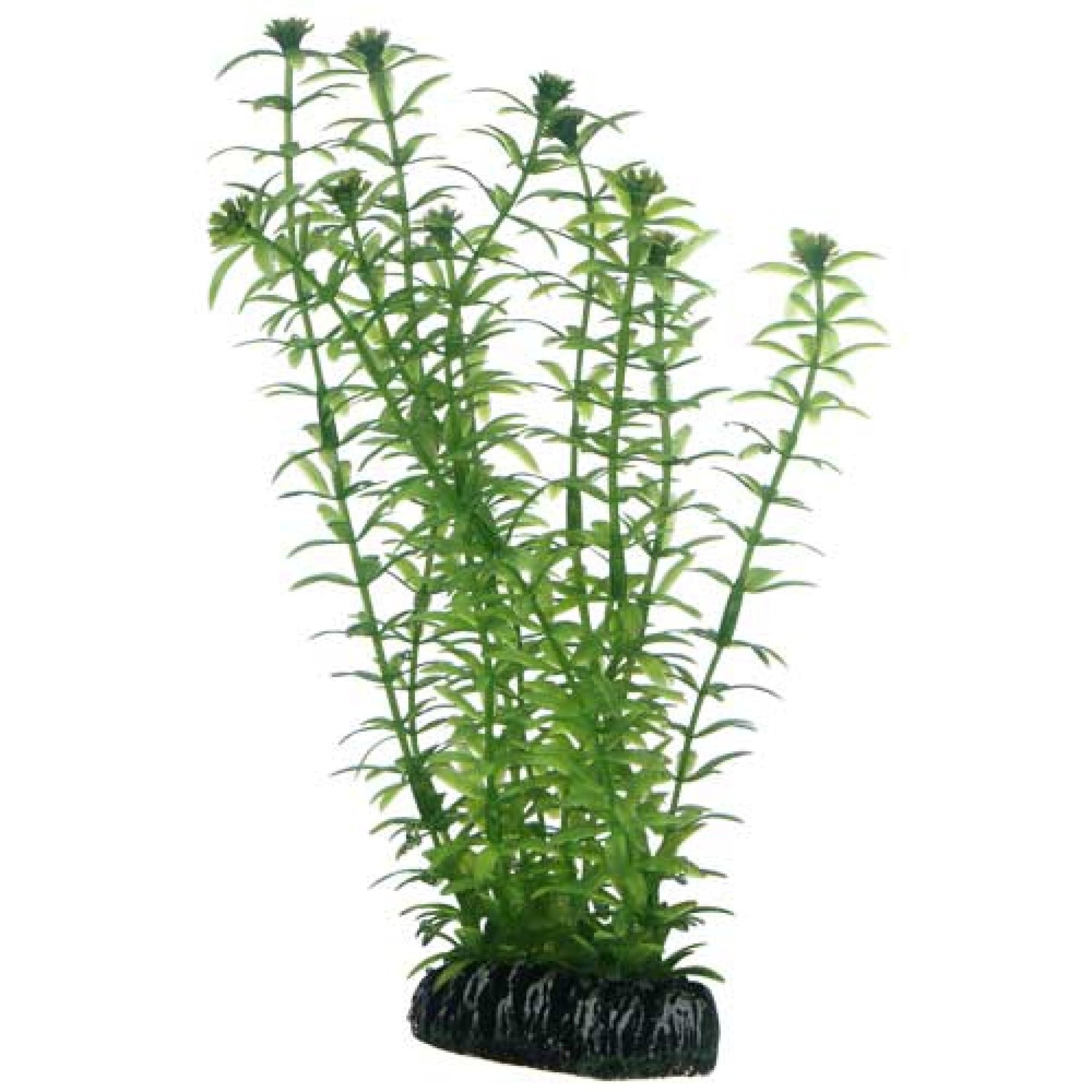 Artificial Plant - Lagarosiphon