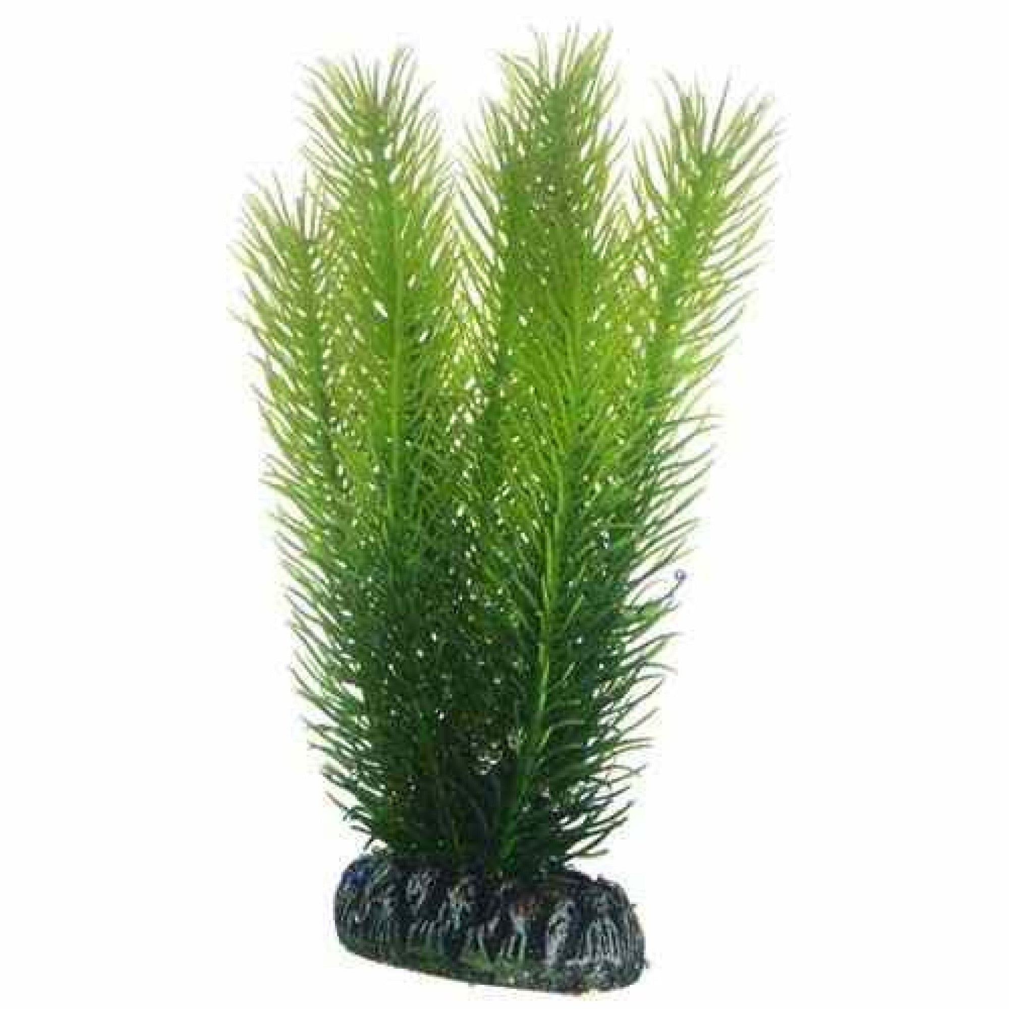 Artificial Plant - Mayaca