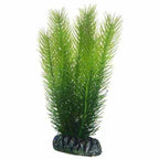 Artificial Plant - Mayaca