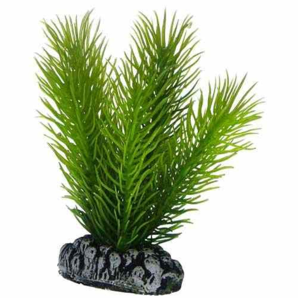 Artificial Plant - Mayaca
