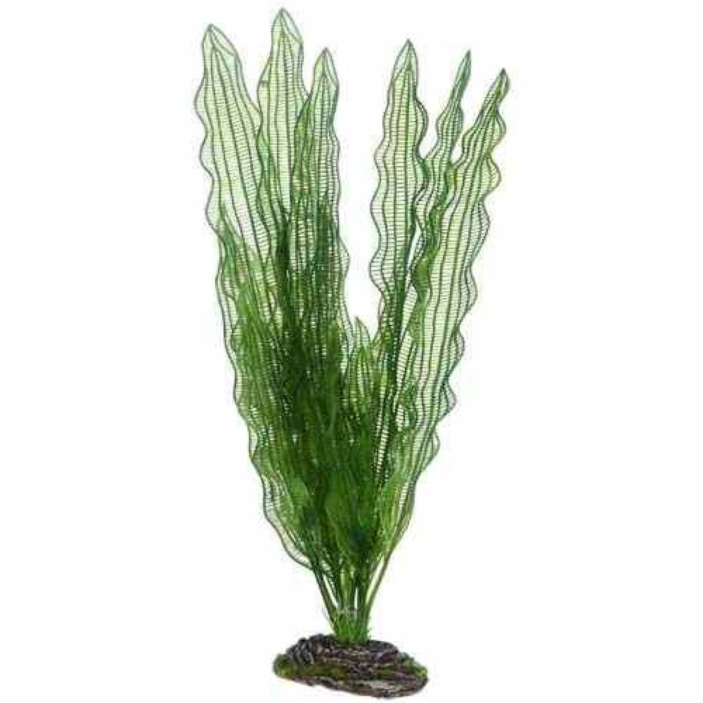 Artificial Plant - Aponogeton