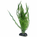 Artificial Plant - Aponogeton