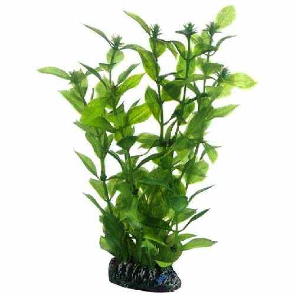 Artificial Plant - Hygrophila