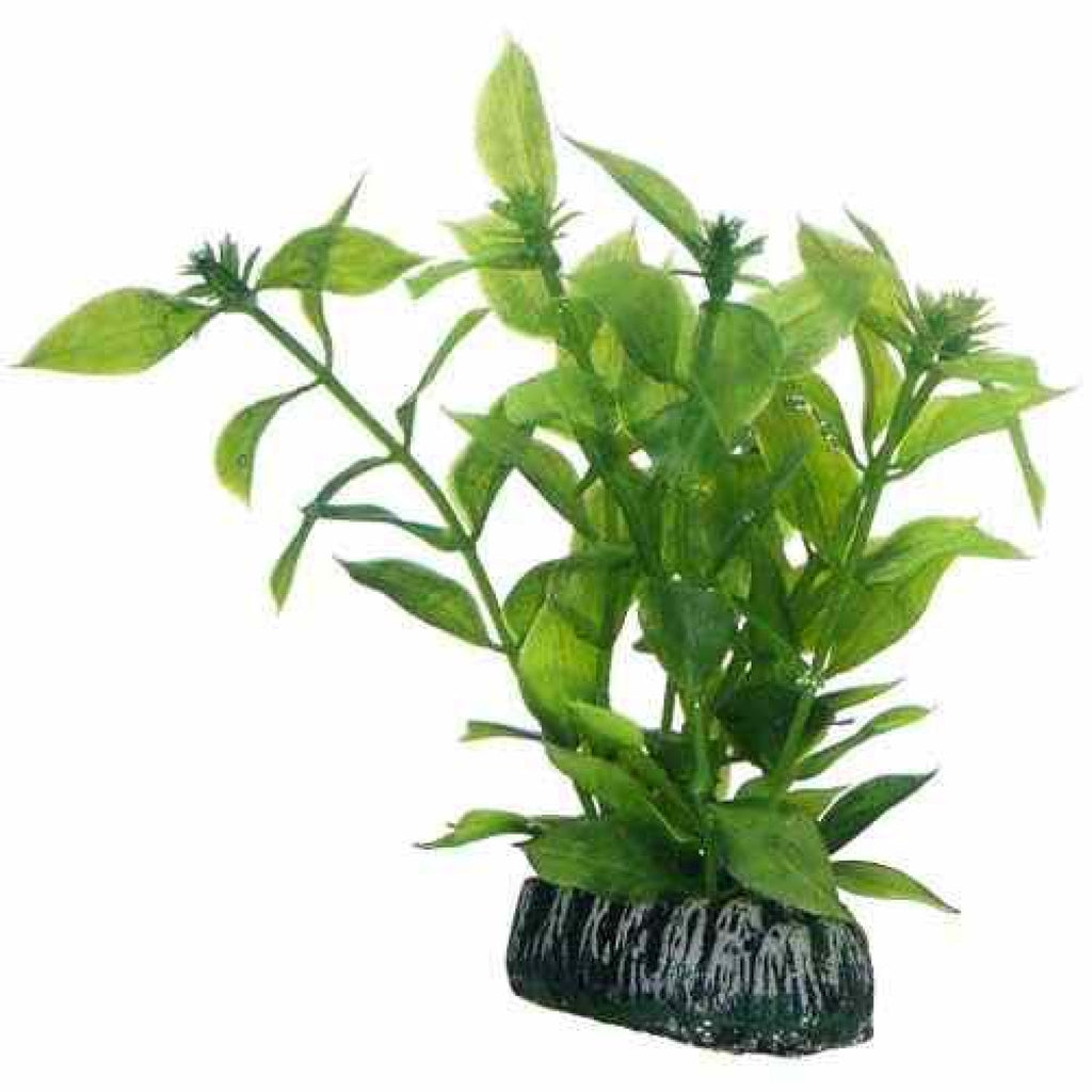Artificial Plant - Hygrophila