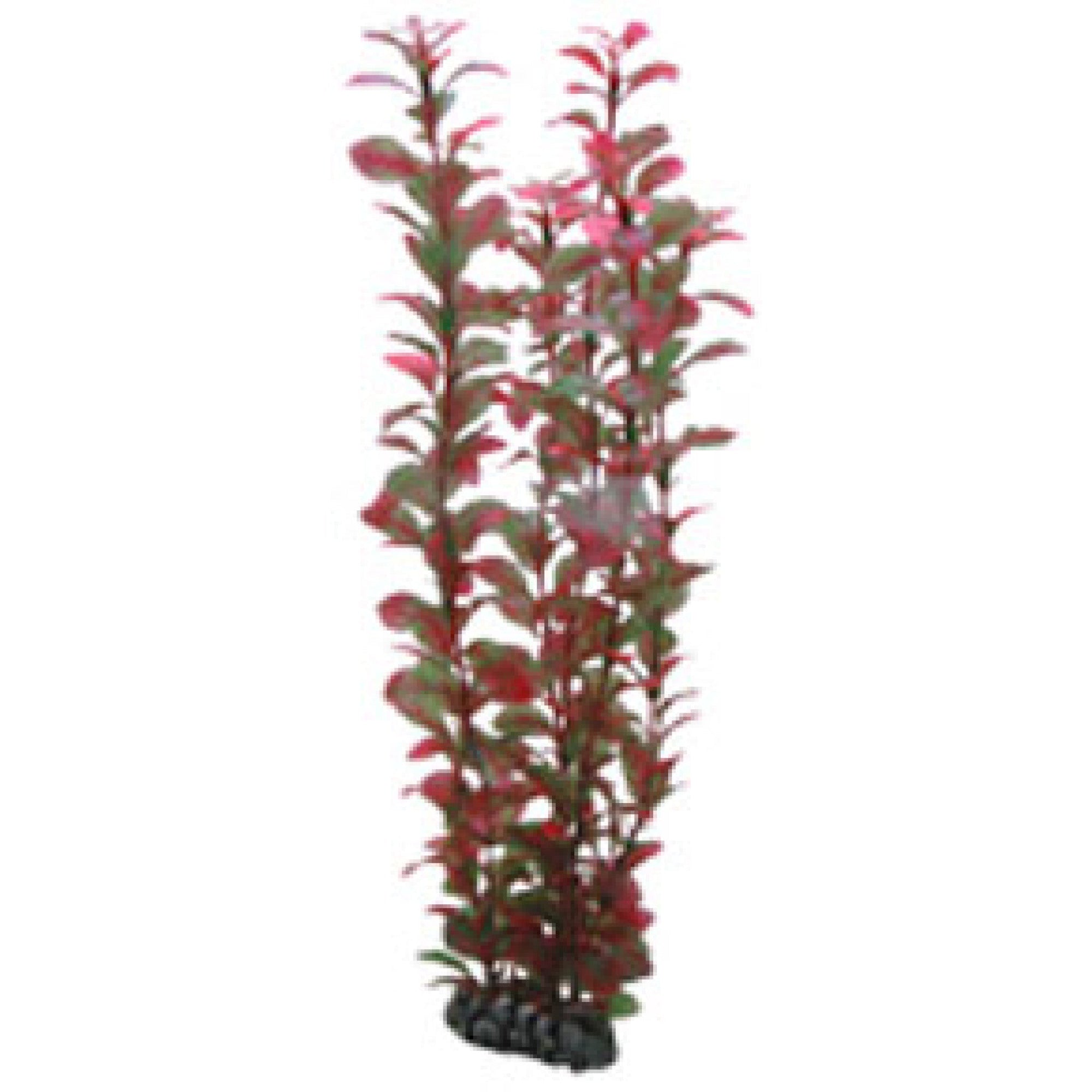 Artificial Plant - Ludwigia