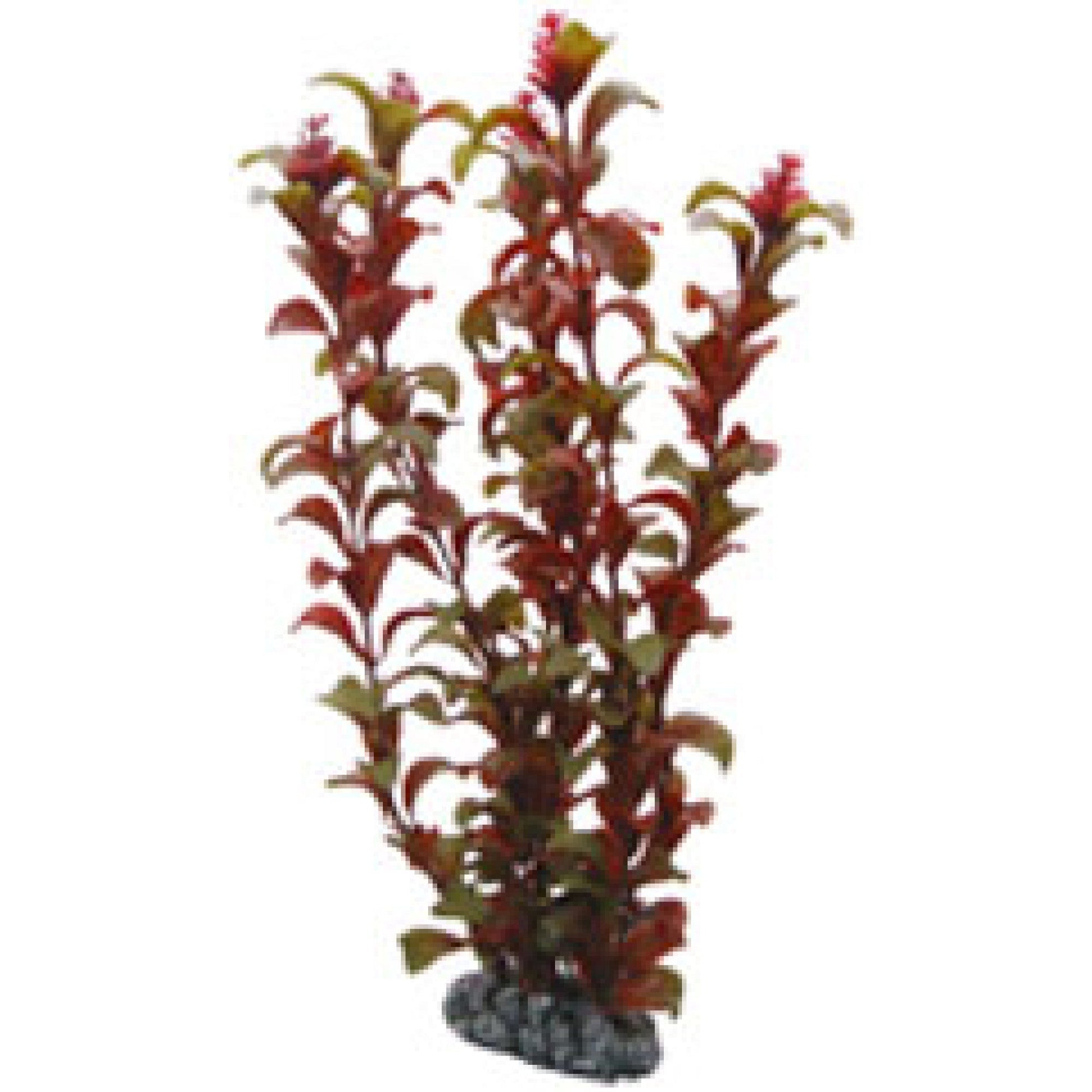 Artificial Plant - Rotala