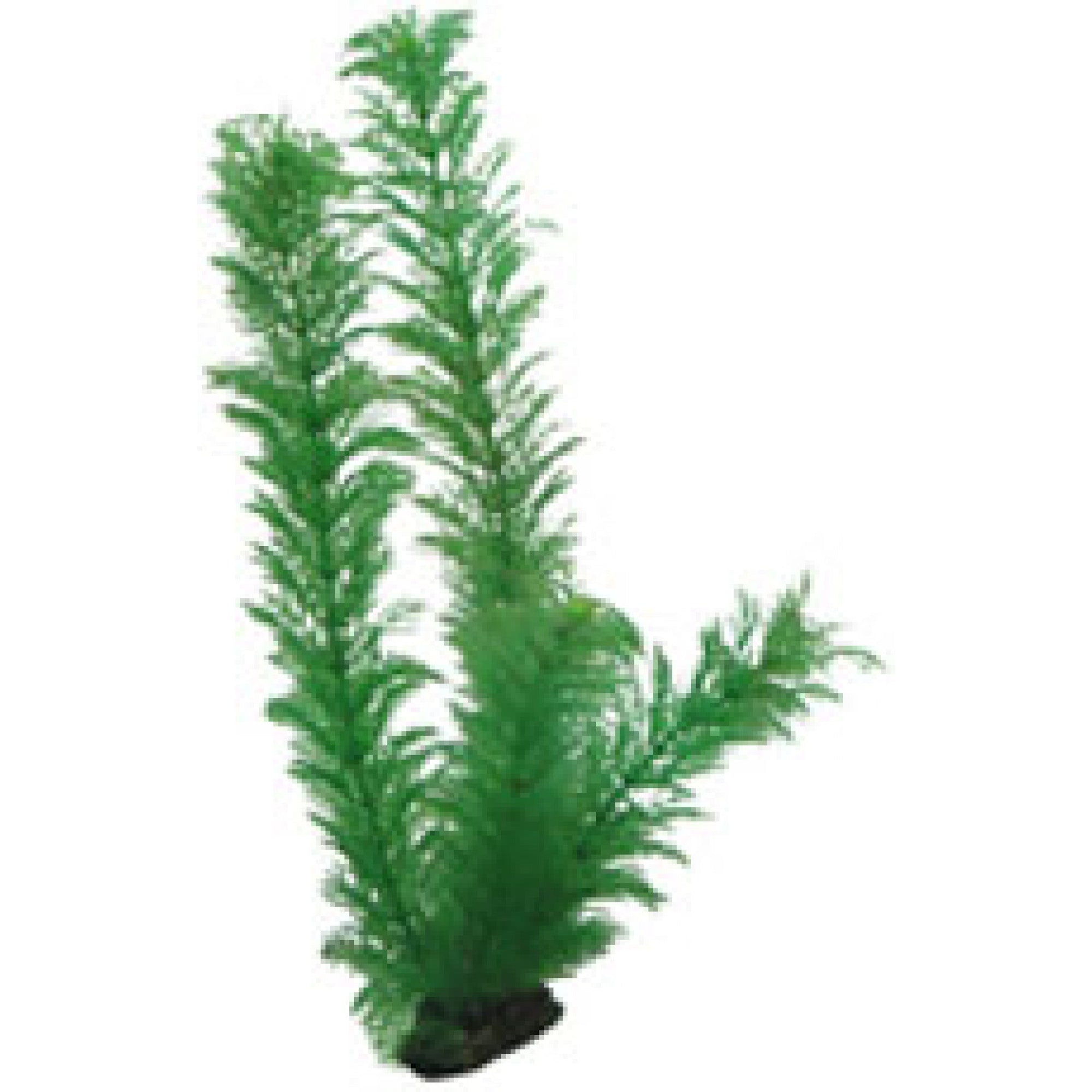Artificial Plant - Egeria