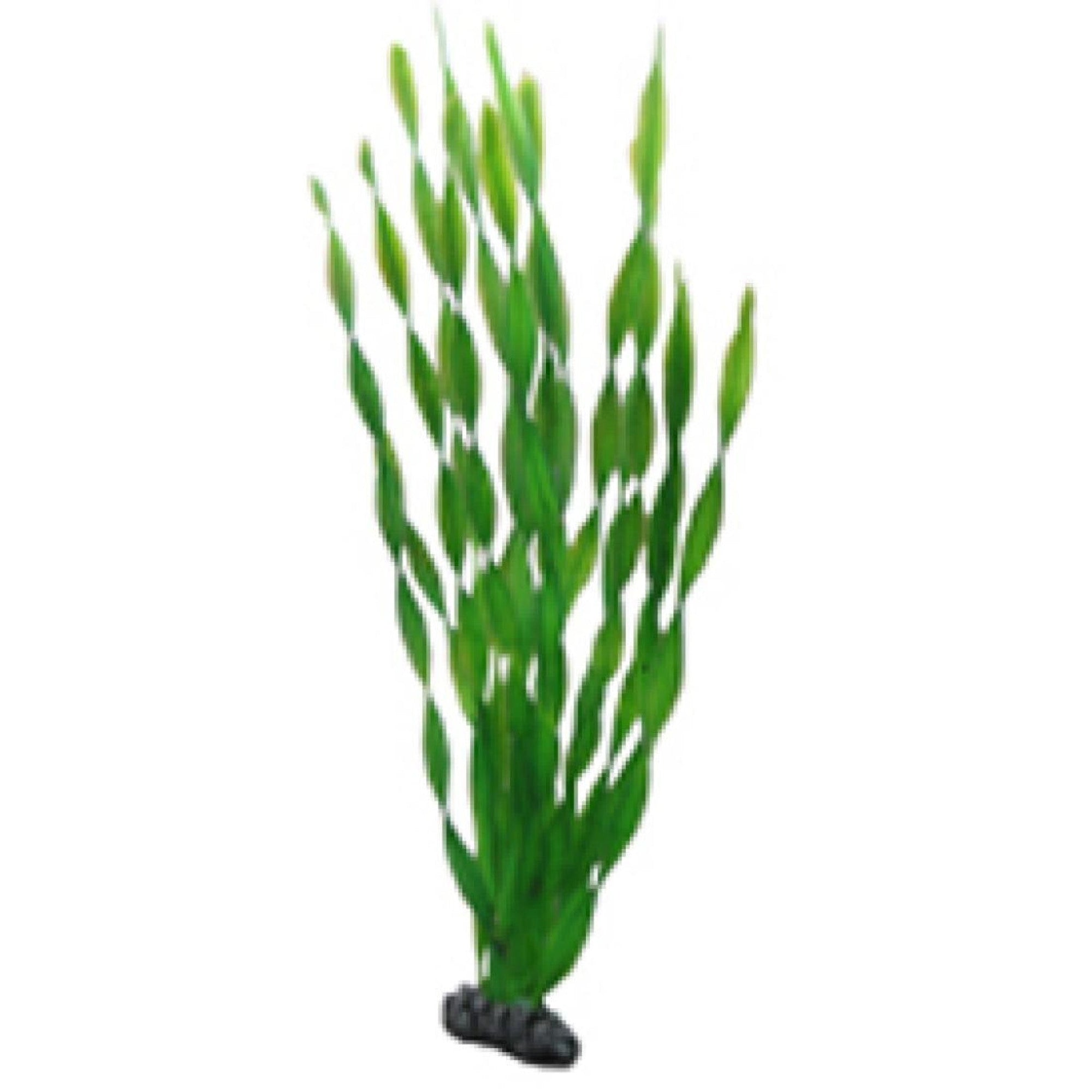 Artificial Plant - Vallisneria