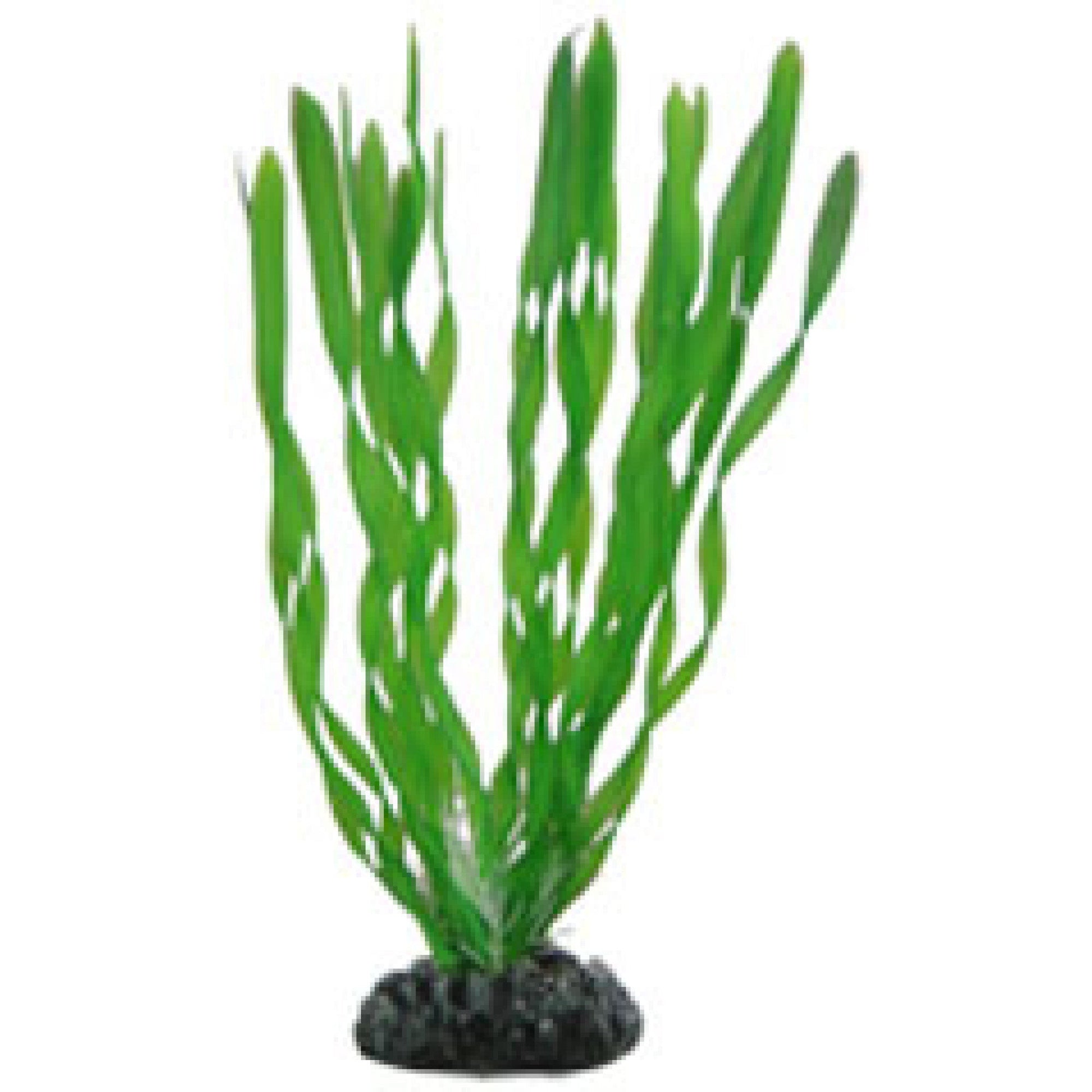 Artificial Plant - Vallisneria