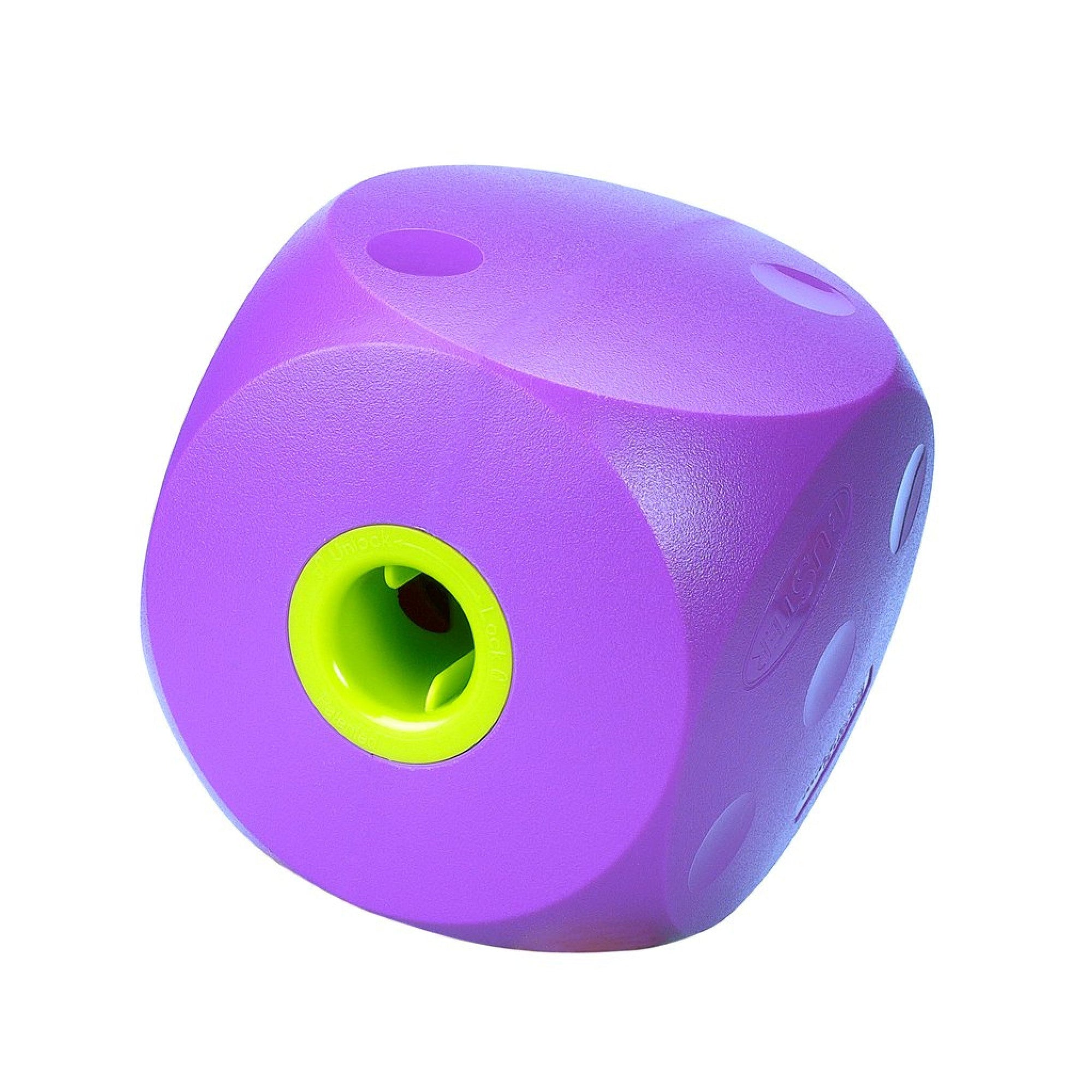 Buster Food Cube