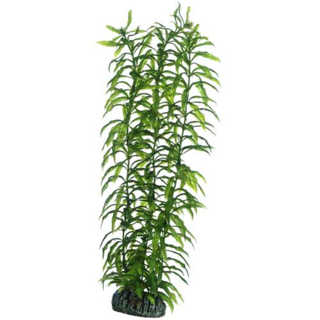 Artificial Plant - Heteranthera