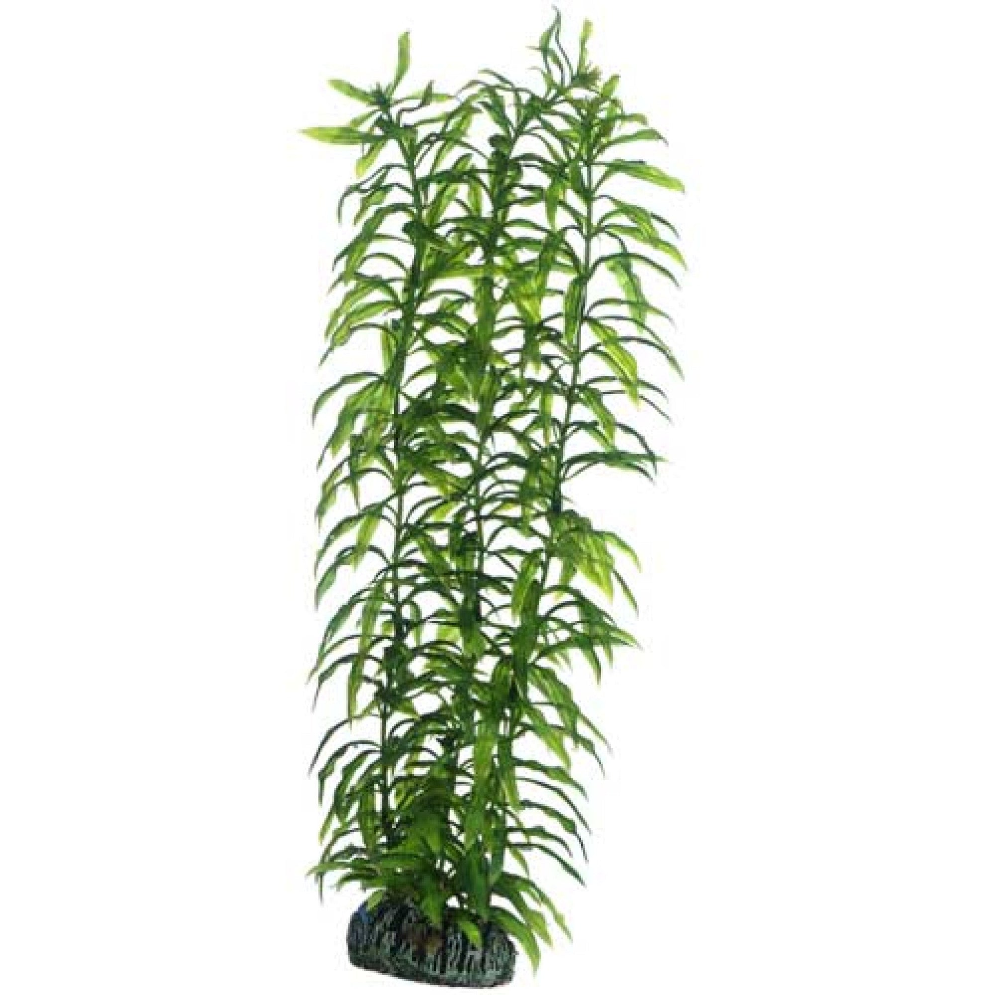 Artificial Plant - Heteranthera