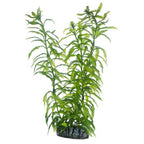 Artificial Plant - Heteranthera