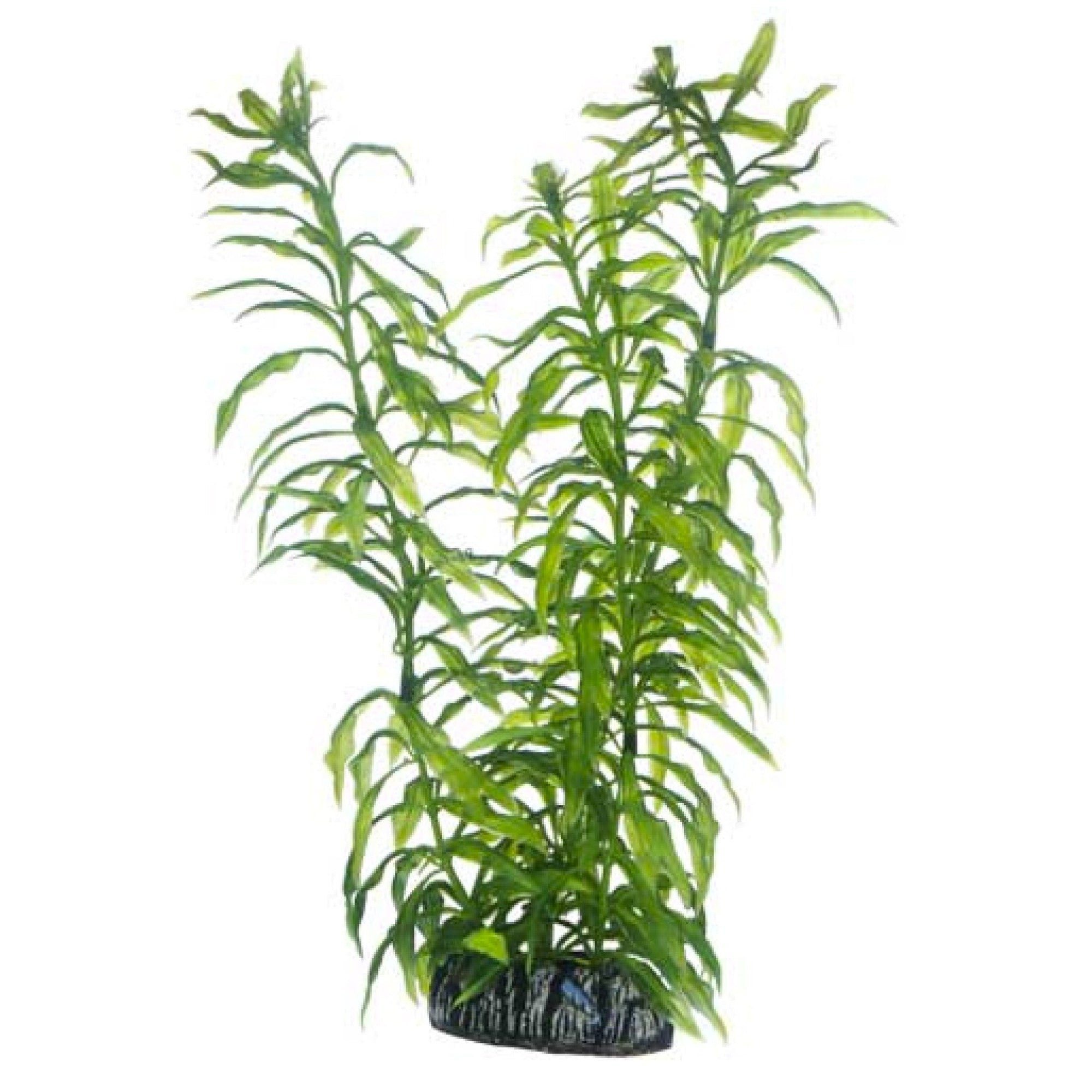 Artificial Plant - Heteranthera