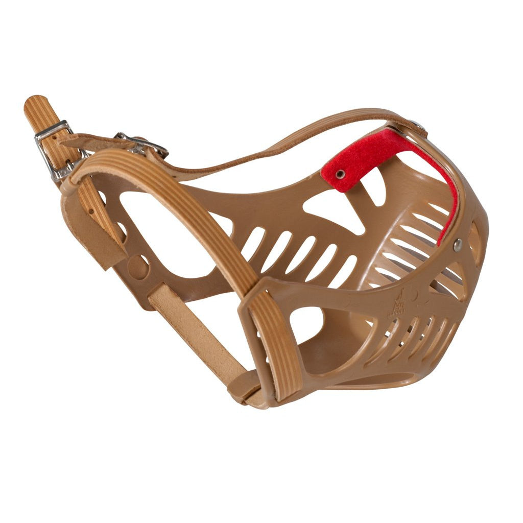 Buster Plastic Muzzle Boxer
