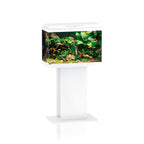 Primo 70 Stand SB 60/50 White