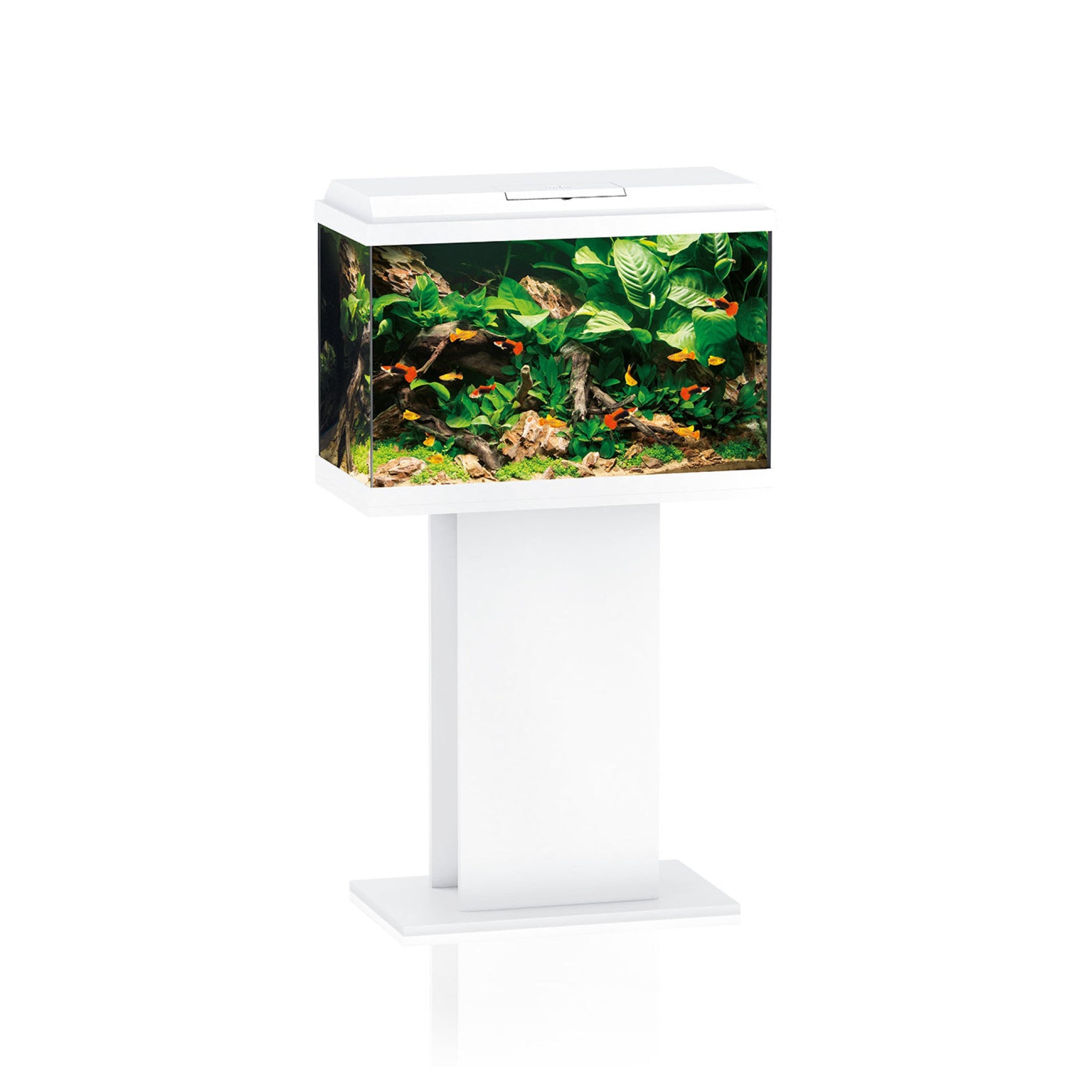 Primo 70 Stand SB 60/50 White