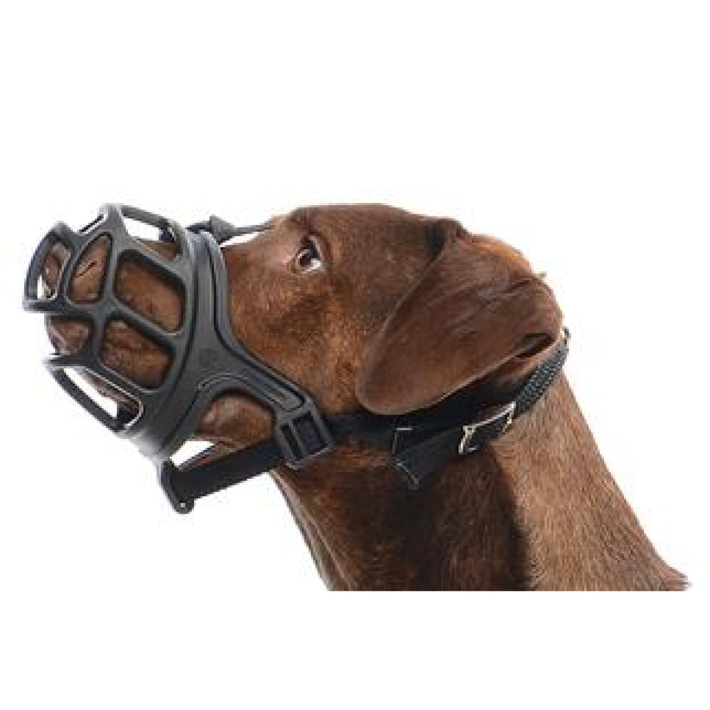 Muzzle