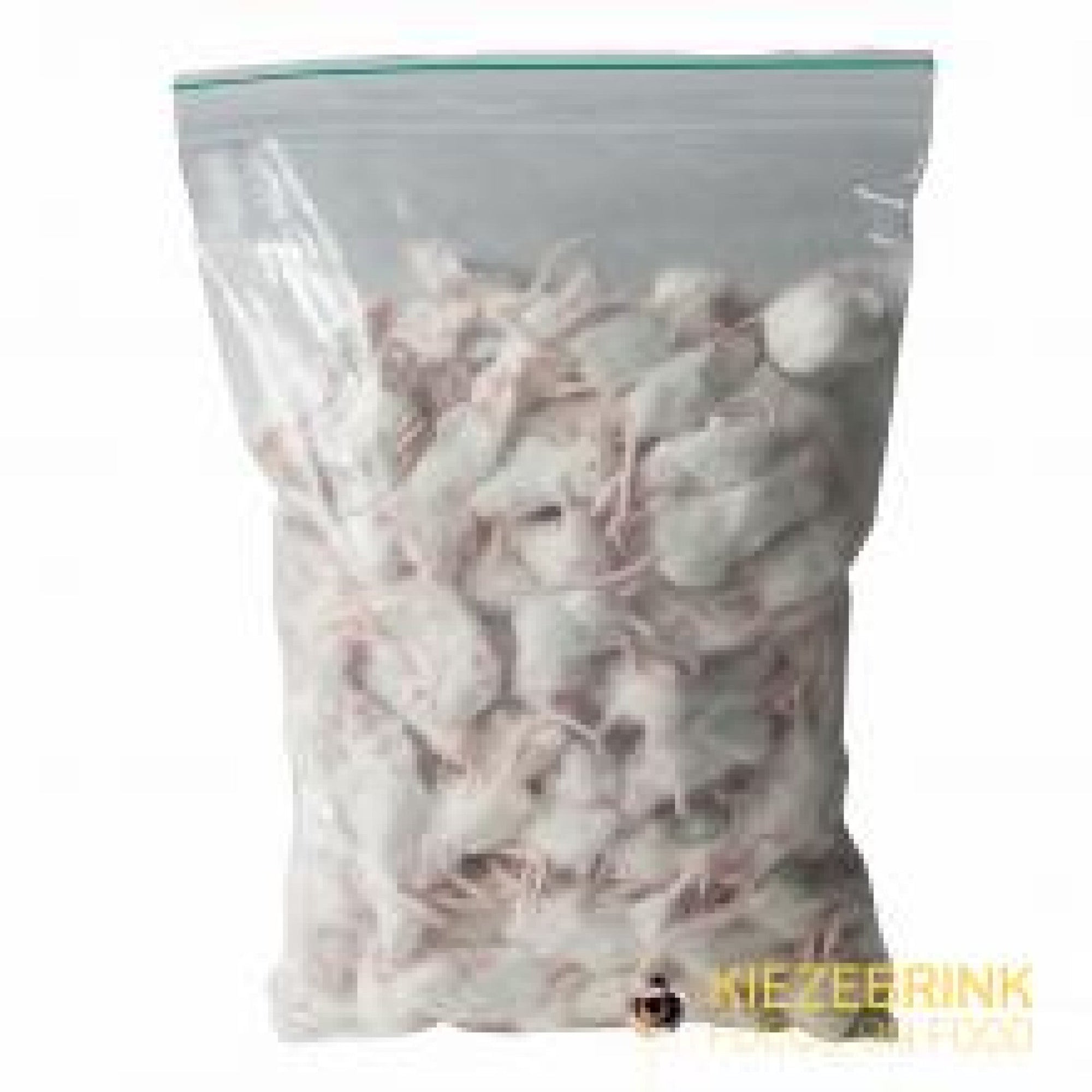 Small White Commercial Mice 10-20 g, 1 kg pack