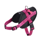 Easy Safe Harness