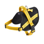 Easy Safe Harness