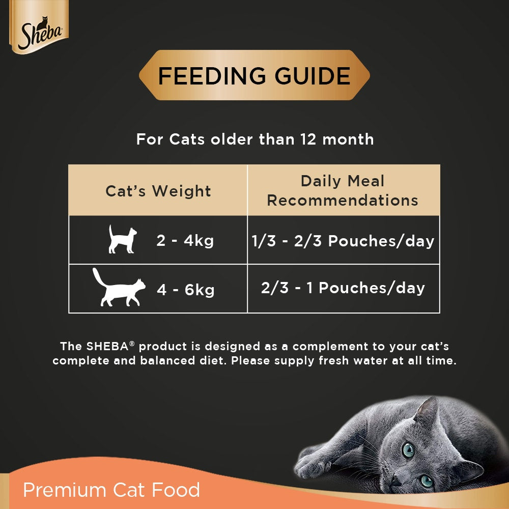 Sheba Fine Wet Cat Food Pouch Chicken & Tuna in Gravy 70G