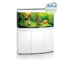Vision 260 LED White