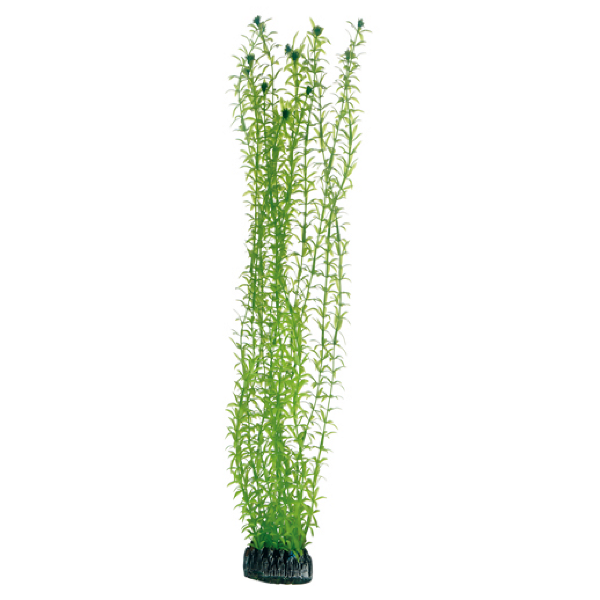 Artificial Plant - Lagarosiphon 60 cm