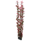 Artificial Plant - Ludwigia