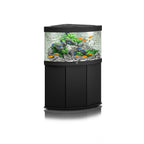 Trigon 190 SBX Cabinet Black