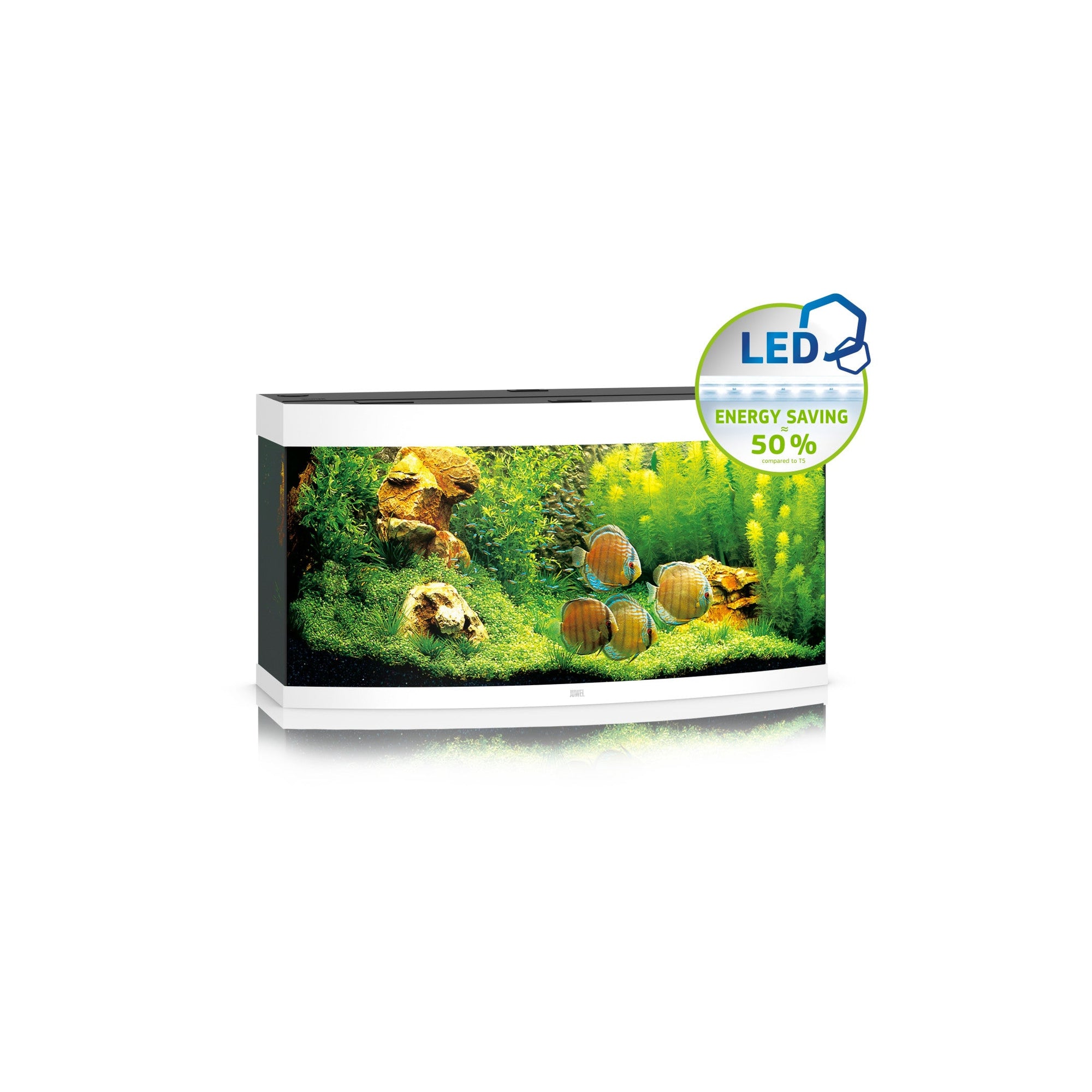 Vision 260 LED White