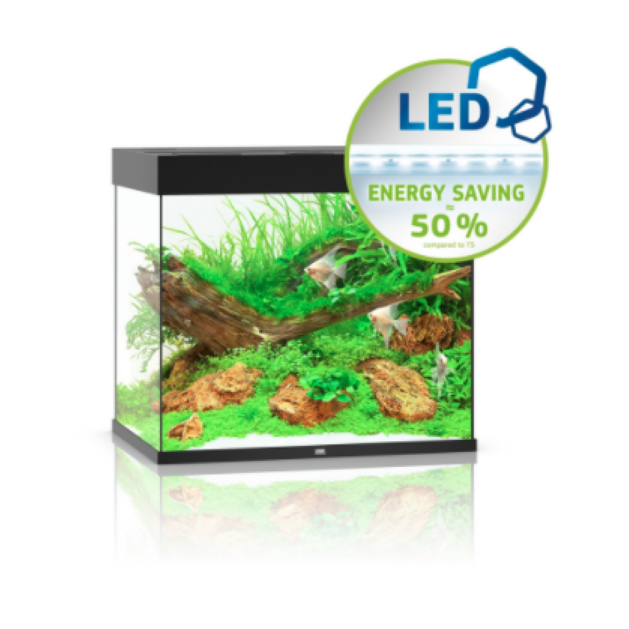 Lido Led