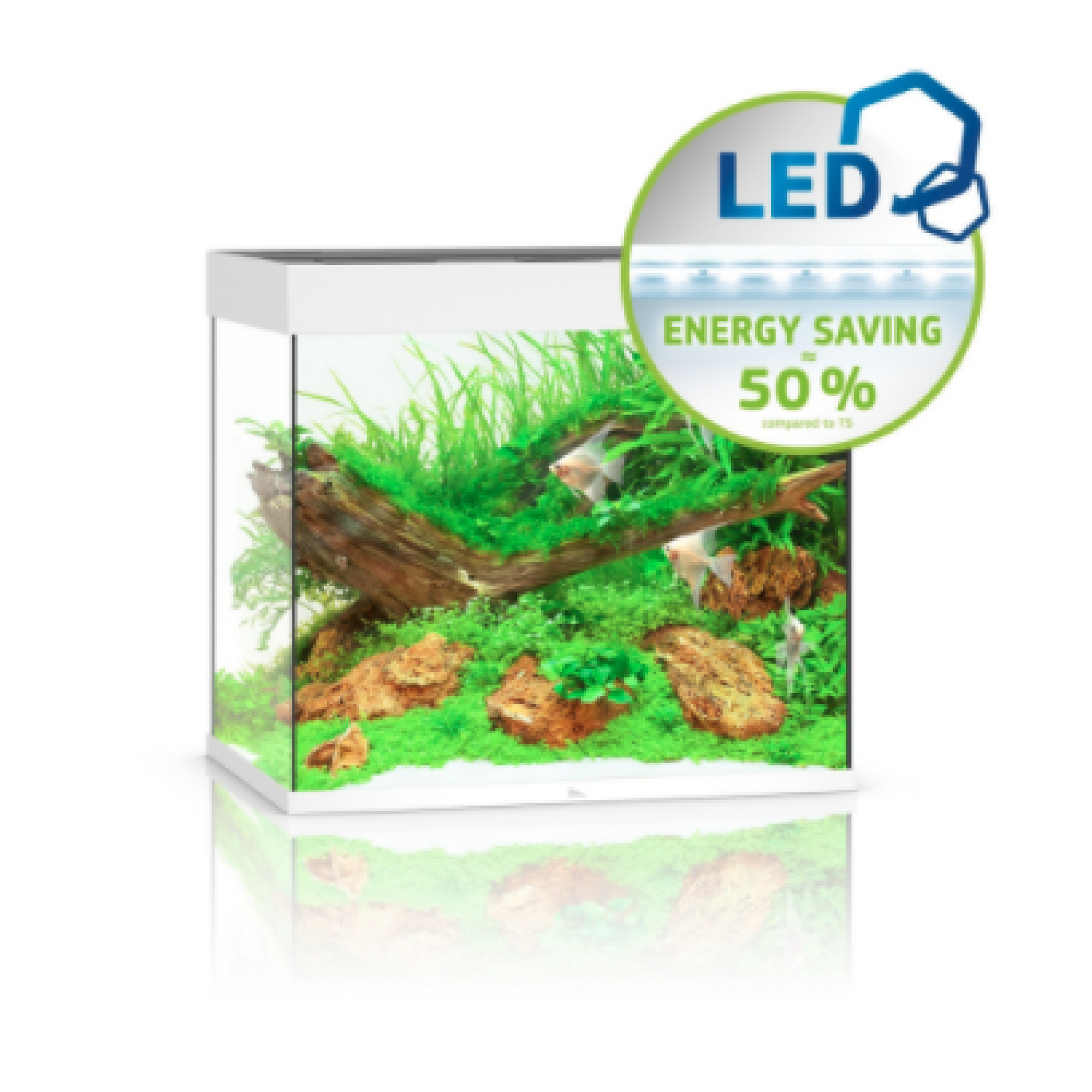 Lido Led