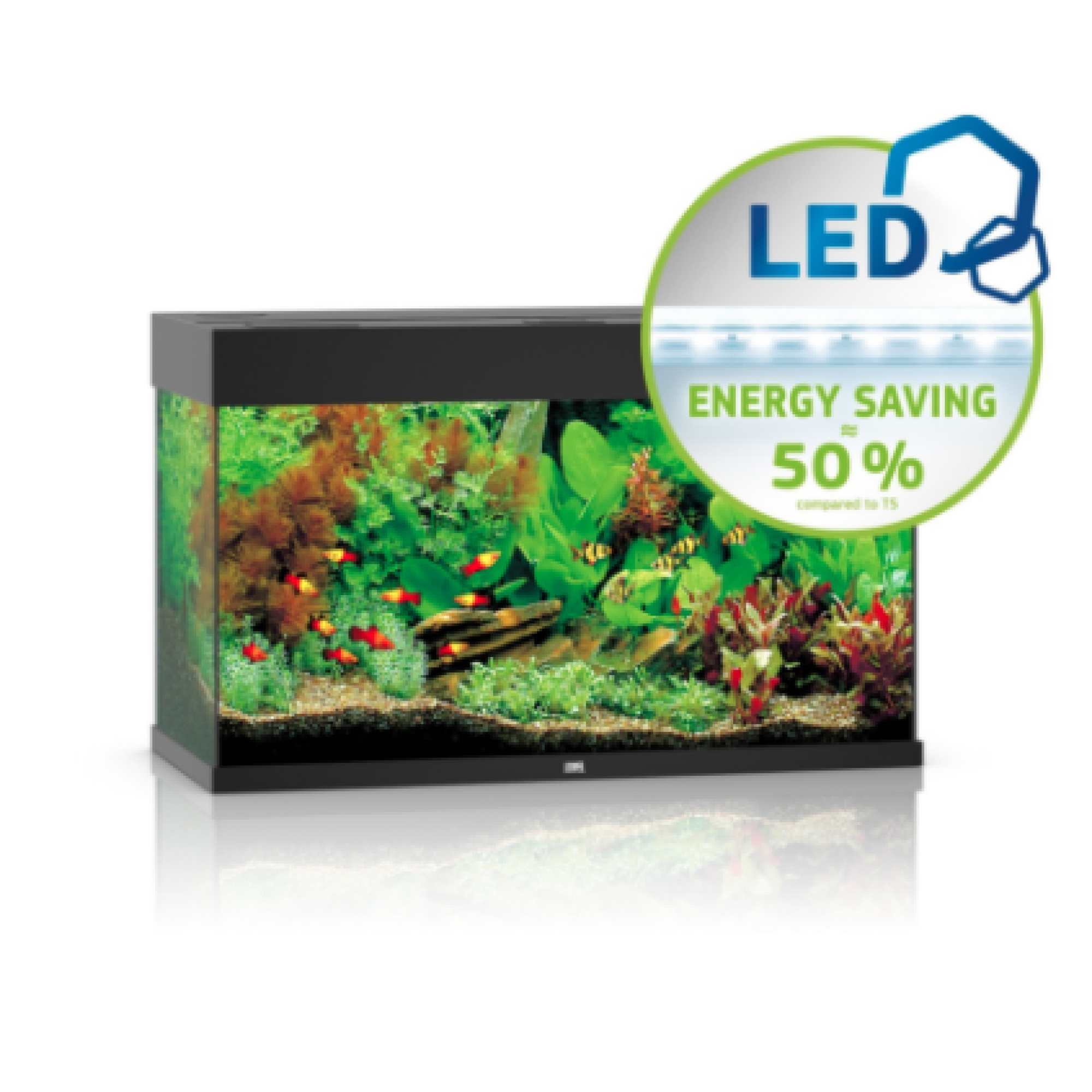 Rio Led