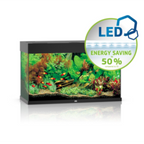 Rio Led