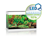 Rio Led