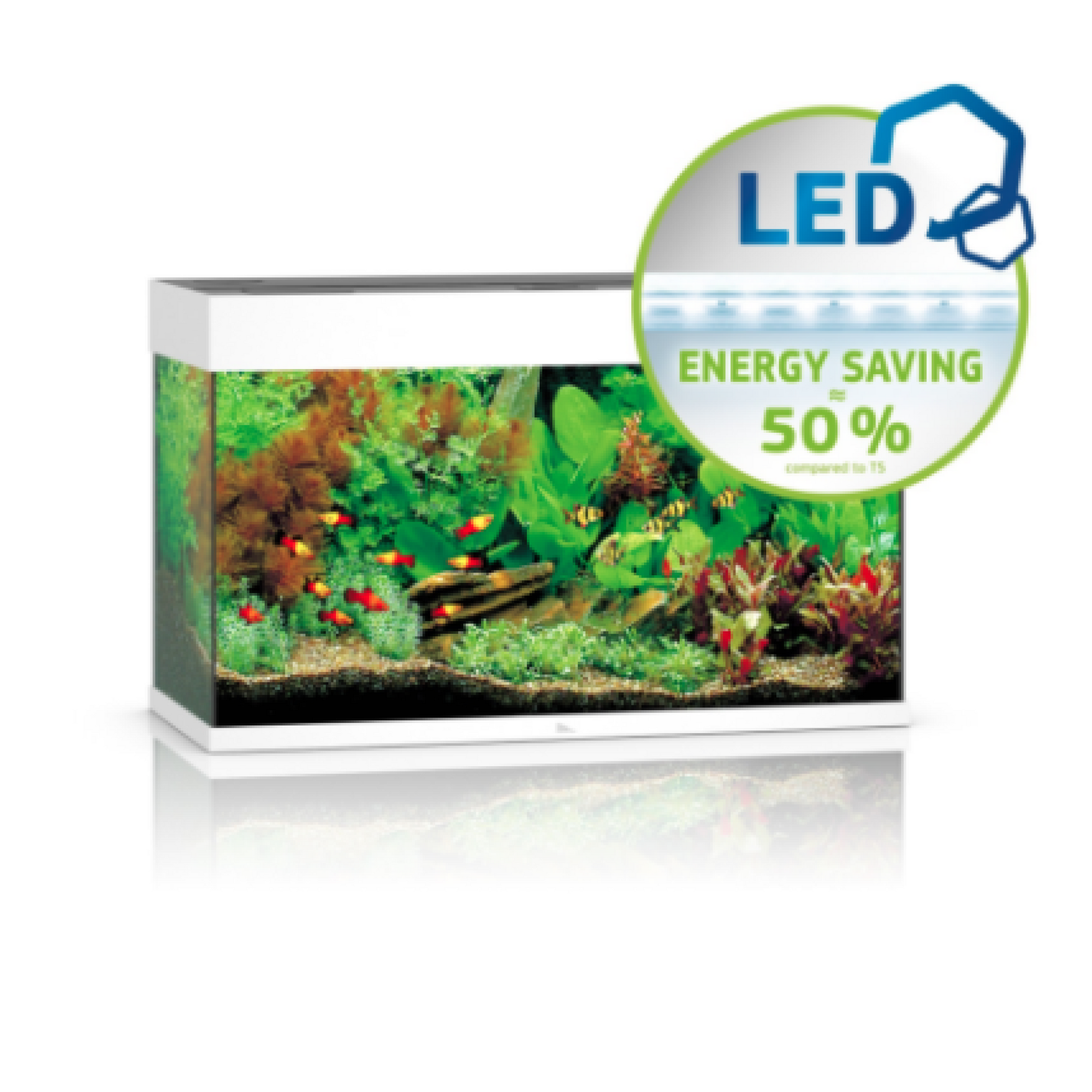 Rio Led